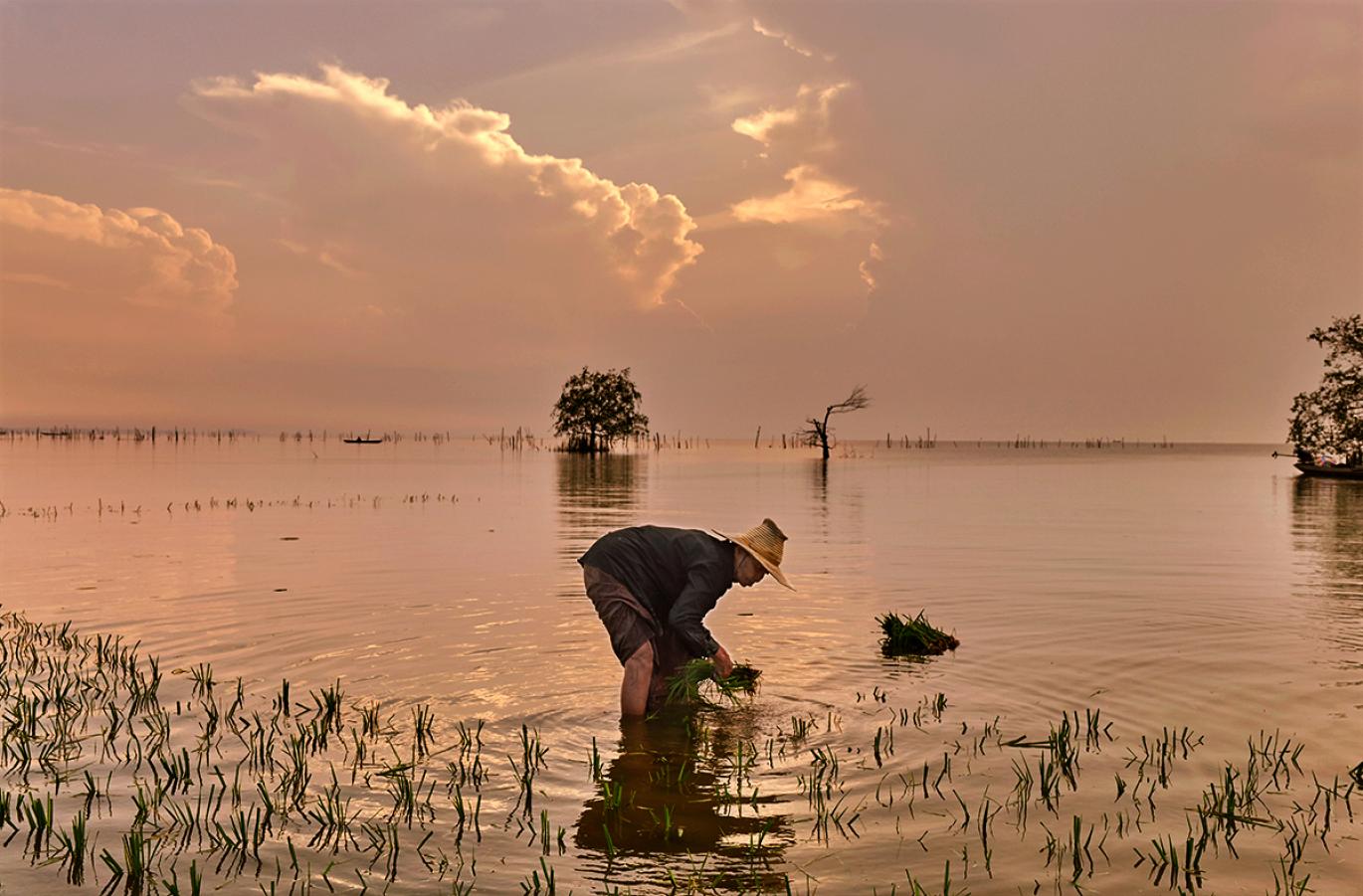 One Bangkok - JML Water Feature Design